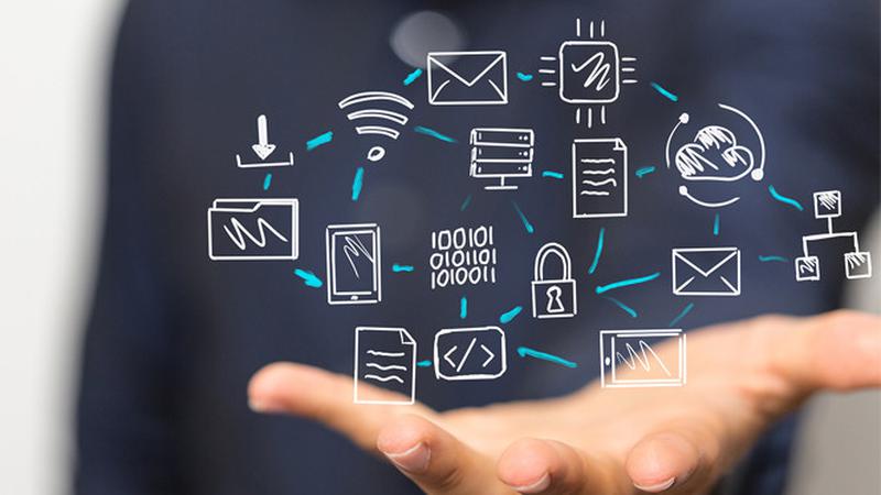 Division Risk Profile